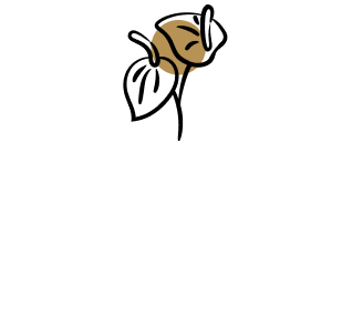 group-1000003367-673f6c74cf2f6