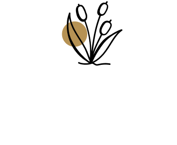 group-1000003368-673f6c74d8ea6